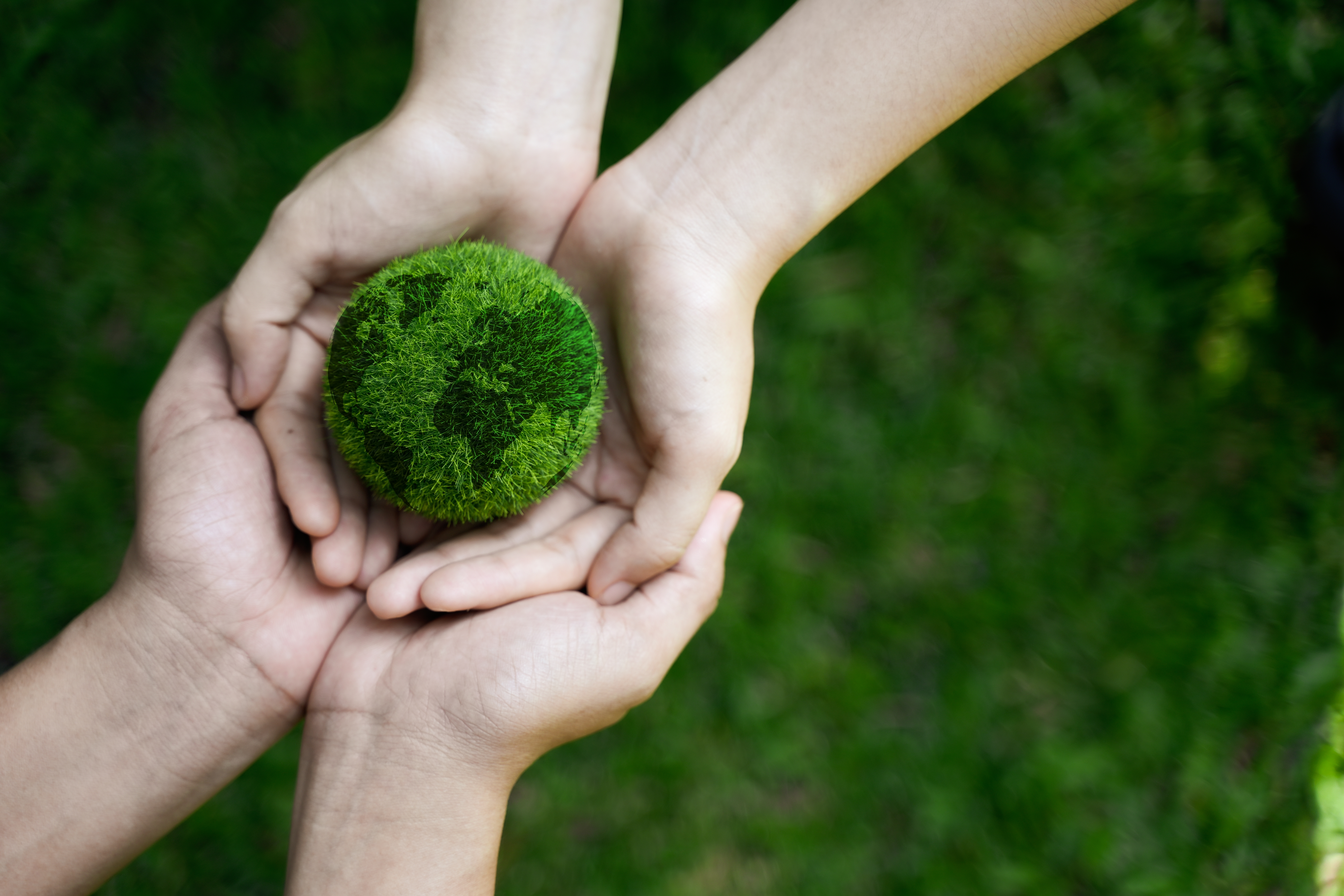 Small earth made of moss and leaves in two pairs of hands. 
