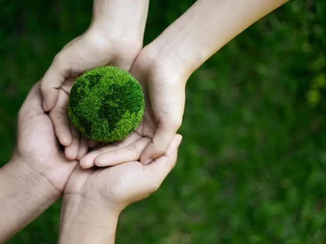 Small earth made of moss and leaves in two pairs of hands. 